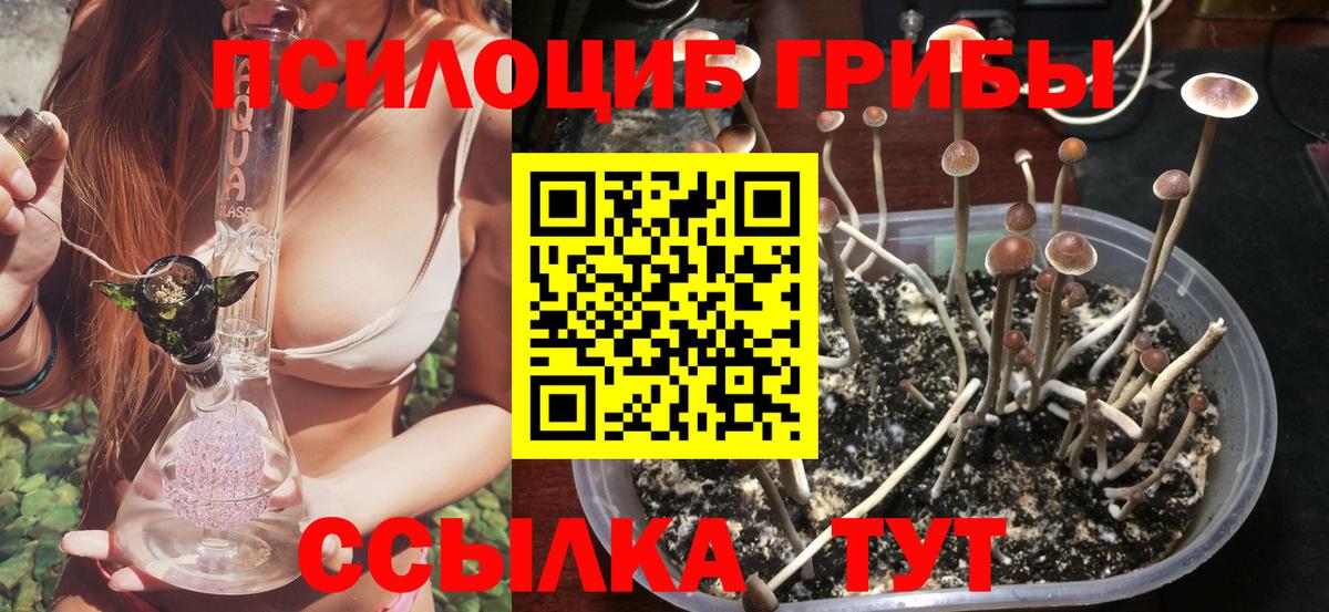 Псилоцибиновые грибы GOLDEN TEACHER Алексеевка