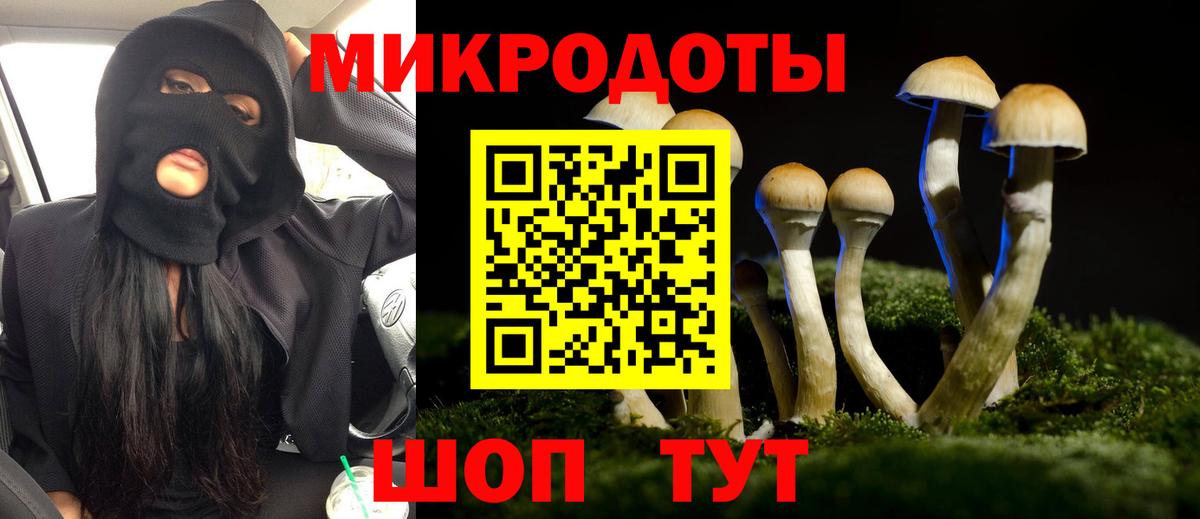 Псилоцибиновые грибы Psilocybe Алексеевка