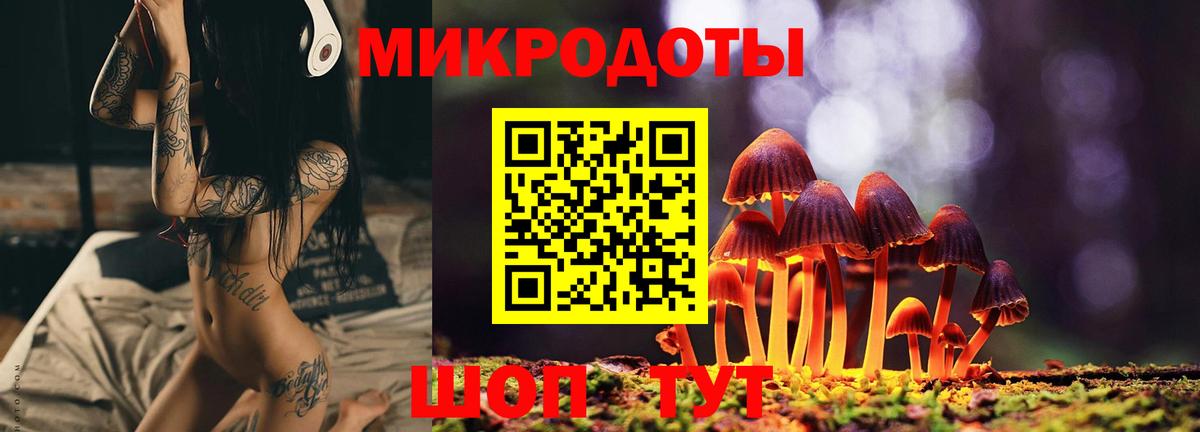 Алексеевка  Псилоцибиновые грибы мухоморы  Вход с VPN 