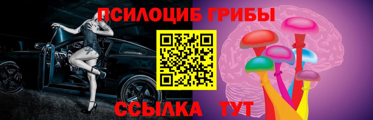 Псилоцибиновые грибы прущие грибы  Вход с VPN  Алексеевка  Галлюциногенные грибы прущие грибы 
